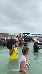 VID-20230305-WA0030