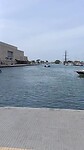 VID20230311105456