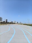 IMG20230309100024