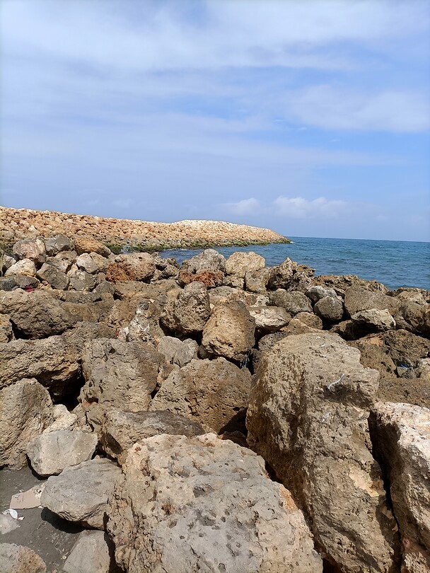 IMG20230313094236