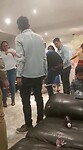 VID_20230402070704