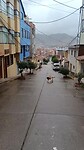 VID20230324084305