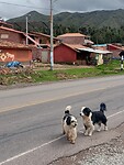 IMG20230402094600