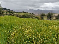 IMG20230401121954