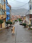 IMG20230324084130