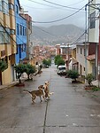 IMG20230324084128