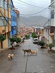 IMG20230324084120