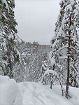 IMG20220205132501