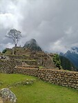 IMG20230319122533