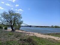 IMG20230419144550