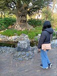 IMG20230417175027