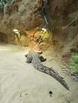 IMG_20230423_143834