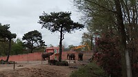 IMG_20230423_152748