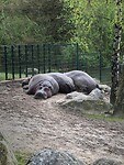 IMG-20230423-WA0002