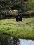 IMG-20230423-WA0003