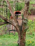 IMG20230423131505