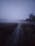 IMG_20230422_211627