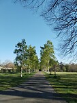 IMG_20230419_172608