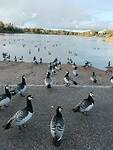 IMG_20231004_163210