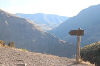 IMG_0975