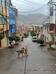 IMG20230324084128