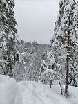 IMG20220205132501