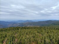 IMG20240322123635