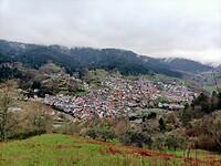 IMG20240323071618