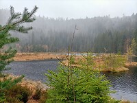 IMG20240323110735