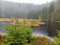 IMG20240323110732