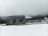 IMG20240324083753
