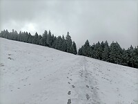 IMG20240324083800