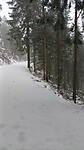 IMG-20240324-WA0006