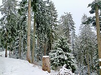 IMG20240324165228