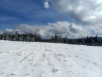 IMG20240325101534