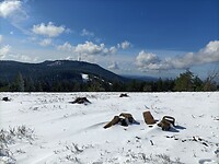 IMG20240325101525