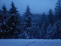 IMG20240324190629