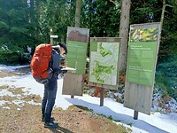 IMG20240325121647