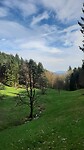 IMG-20240325-WA0238