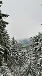 IMG-20240326-WA0044