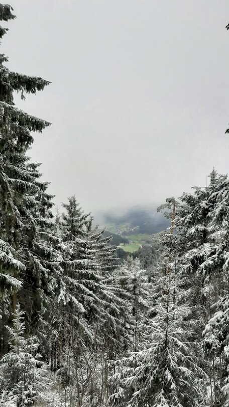 IMG-20240326-WA0044