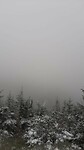 IMG-20240326-WA0045