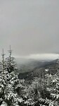 IMG-20240326-WA0047