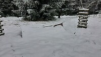 IMG-20240326-WA0050