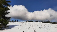 IMG-20240326-WA0053
