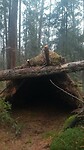 IMG-20231210-WA0034