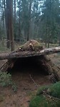 IMG-20231210-WA0035