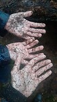 IMG-20231210-WA0032
