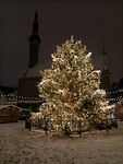 IMG20231229003816