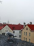 IMG20231230132122